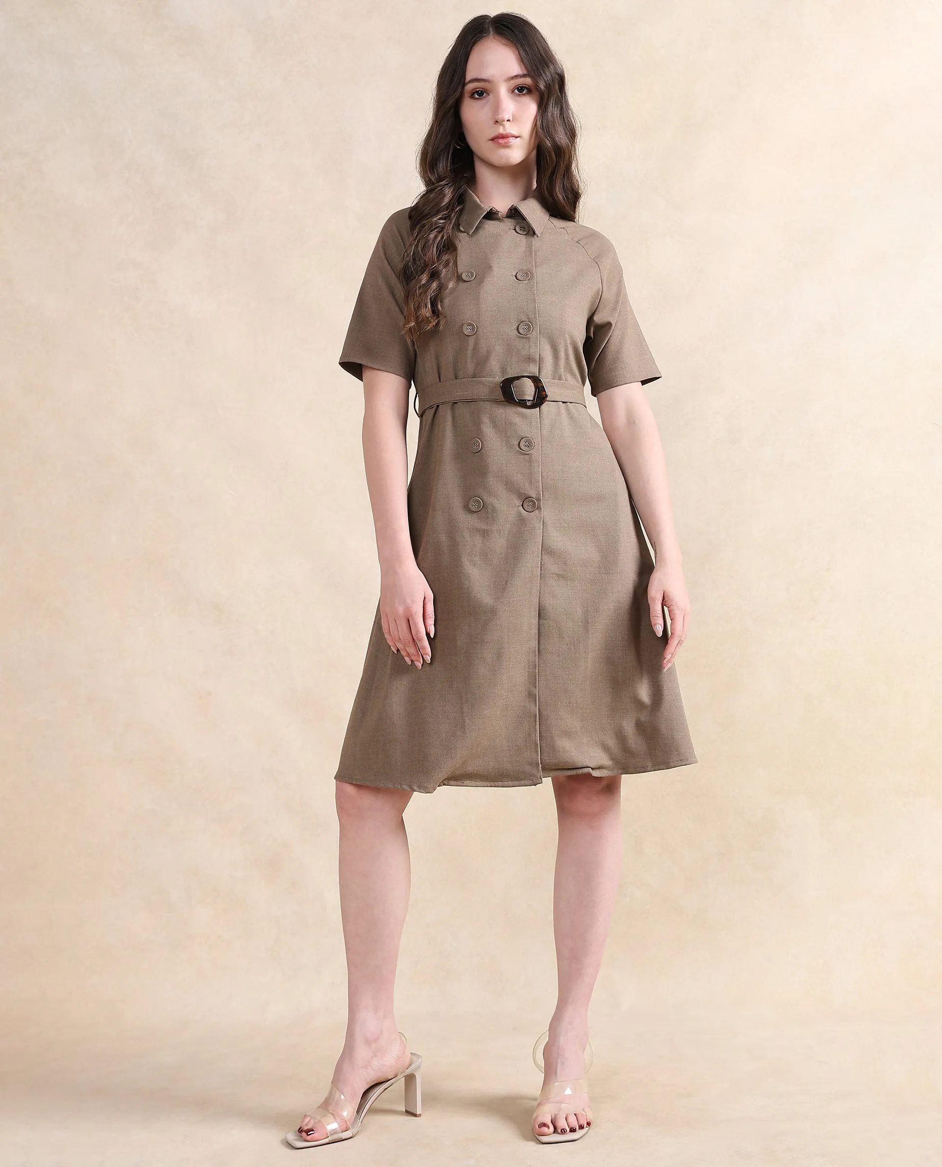 Rareism Women Crypty Dark Beige Regular Sleeves Collared Neck Button Closure A-Line Knee Length Plain Dress